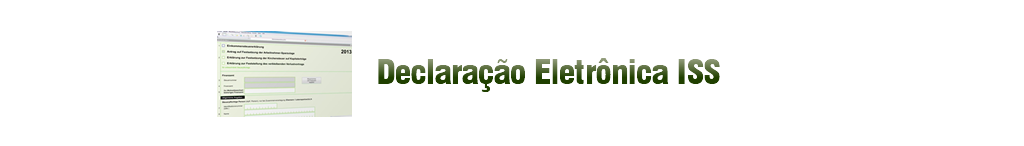 Nome do Icone: 260419181212_declaracao_eletronica_iss_png.png